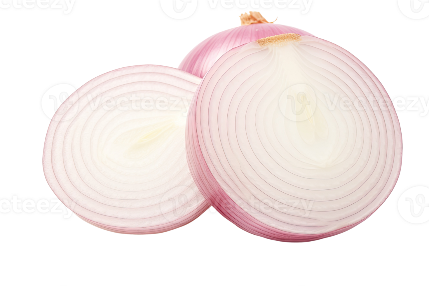 AI generated round onion slices on an isolated transparent background png