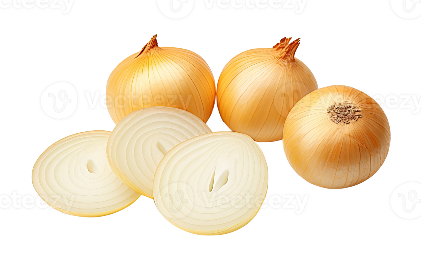 AI generated round onion slices on an isolated transparent background png