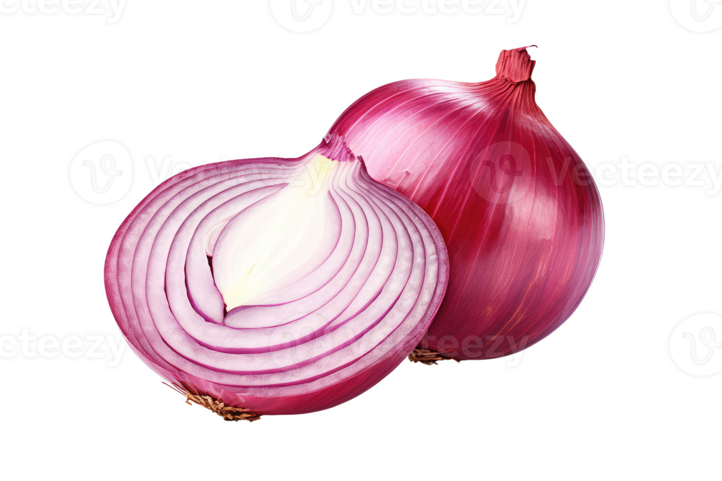 AI generated onion slices on isolated transparent background png