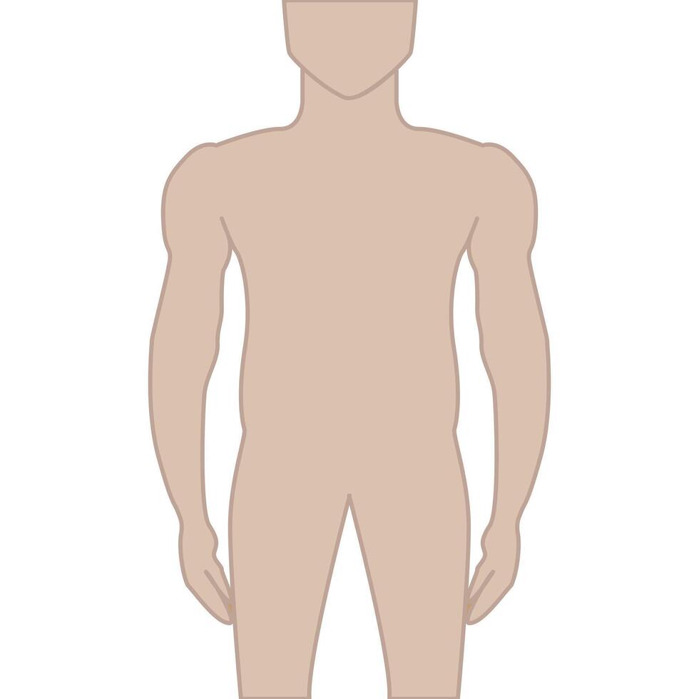 hombre cuerpo silueta aislado ilustración vector