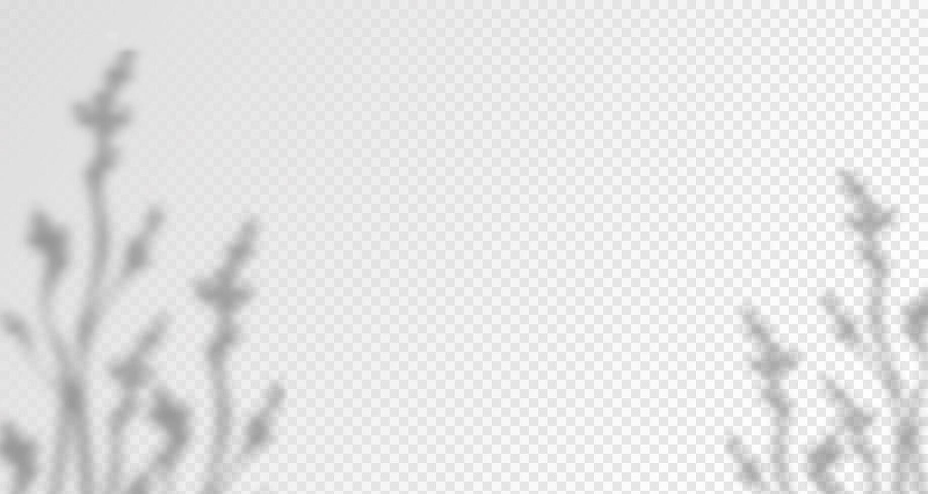 Glare from the sun's rays on the wall. Blurred shadows from leaves and plants in the room. Soft overlay of natural light. Abstract background for product presentation. vector