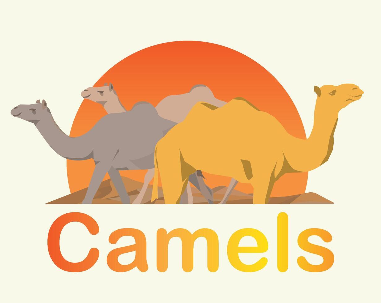 vector camels in desert back sun light illustration