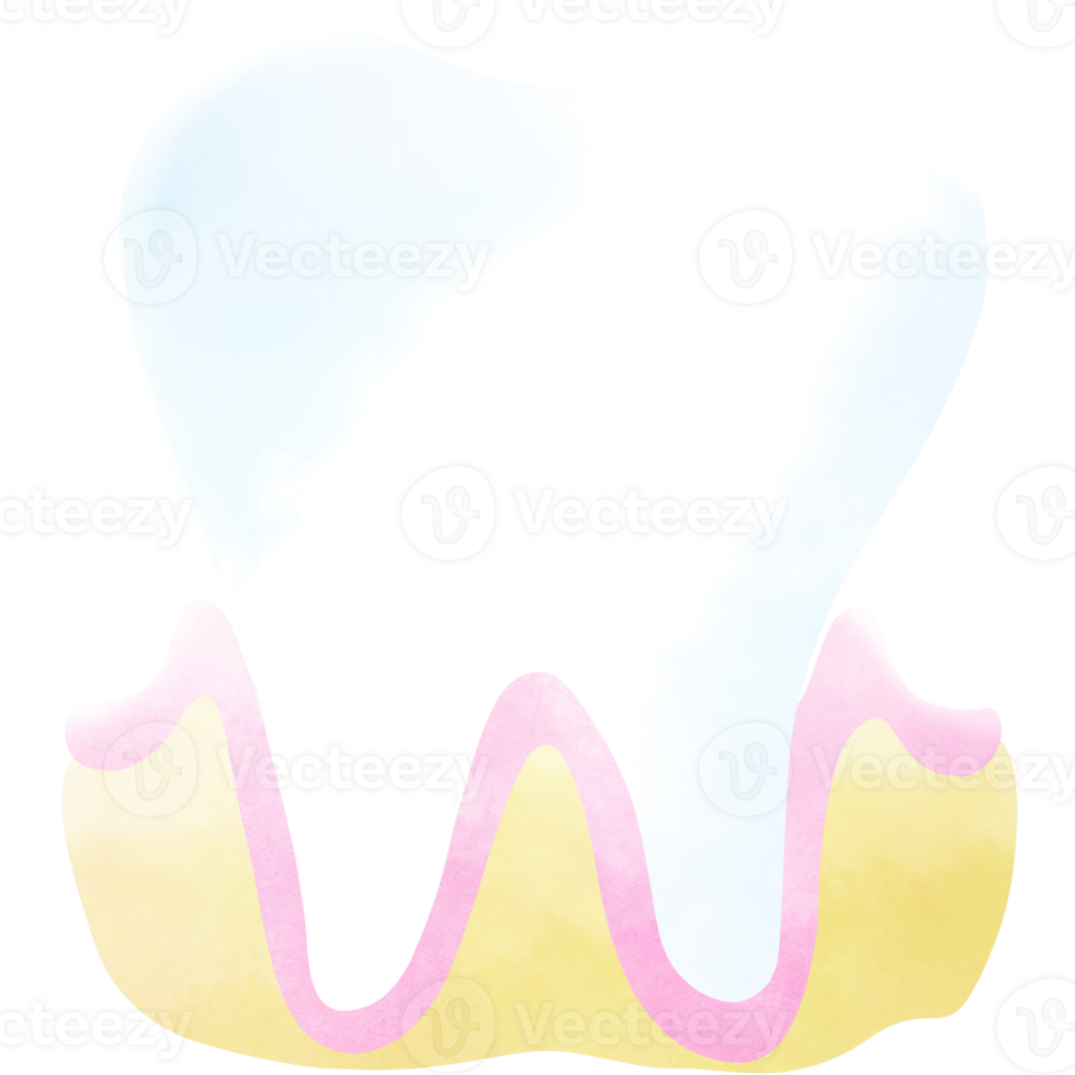 The teeth is a part of every human body. An hand drawn illustration of anatomy. png