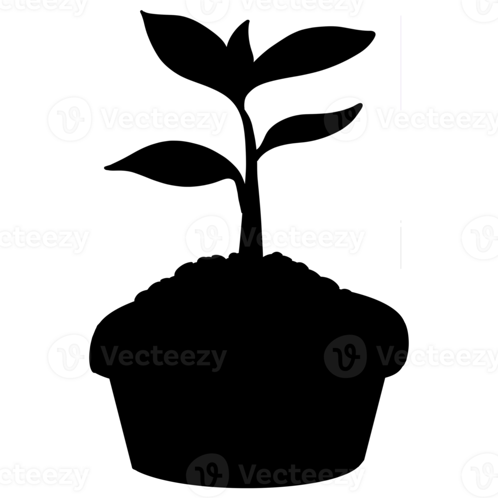 Growth of young shoots and seedlings in pots, silhouette, tree icon and doodle style. png