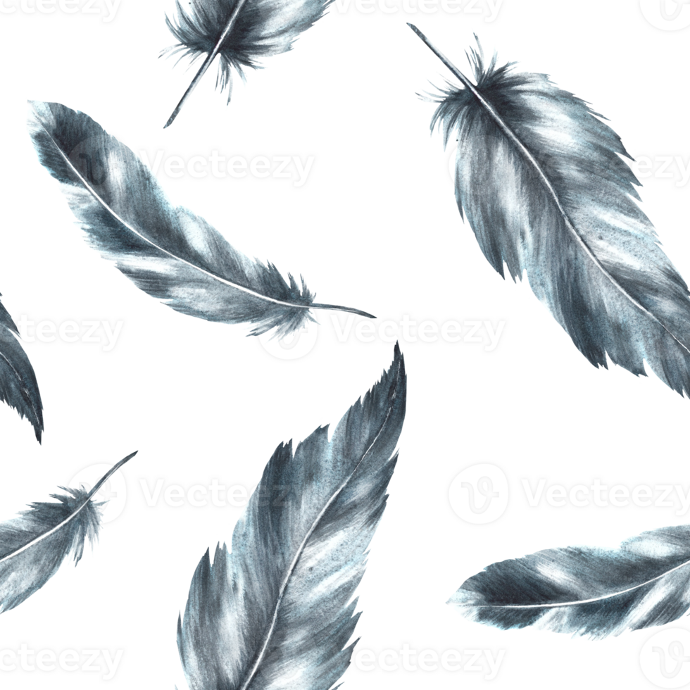 Watercolor seamless pattern with monochrome bird feathers grey black color with granulation of shades, ornaments. Quills wings drawing illustration. Wallpaper wrapping fabric background png