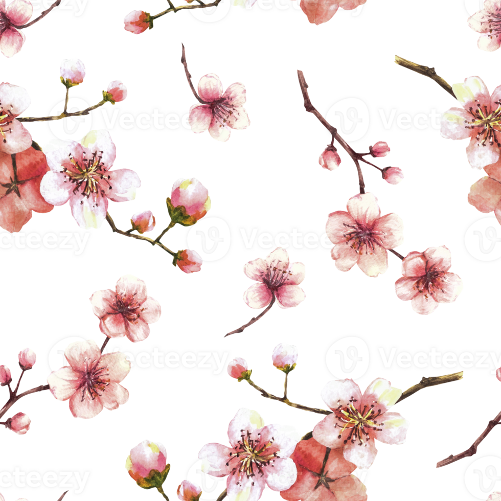 Watercolor blooming branch from tree, sakura, cherry buds and flowers seamless pattern Spring blossoms, springtime watercolor clipart for fabric print Hand drawn isolated illustration background png