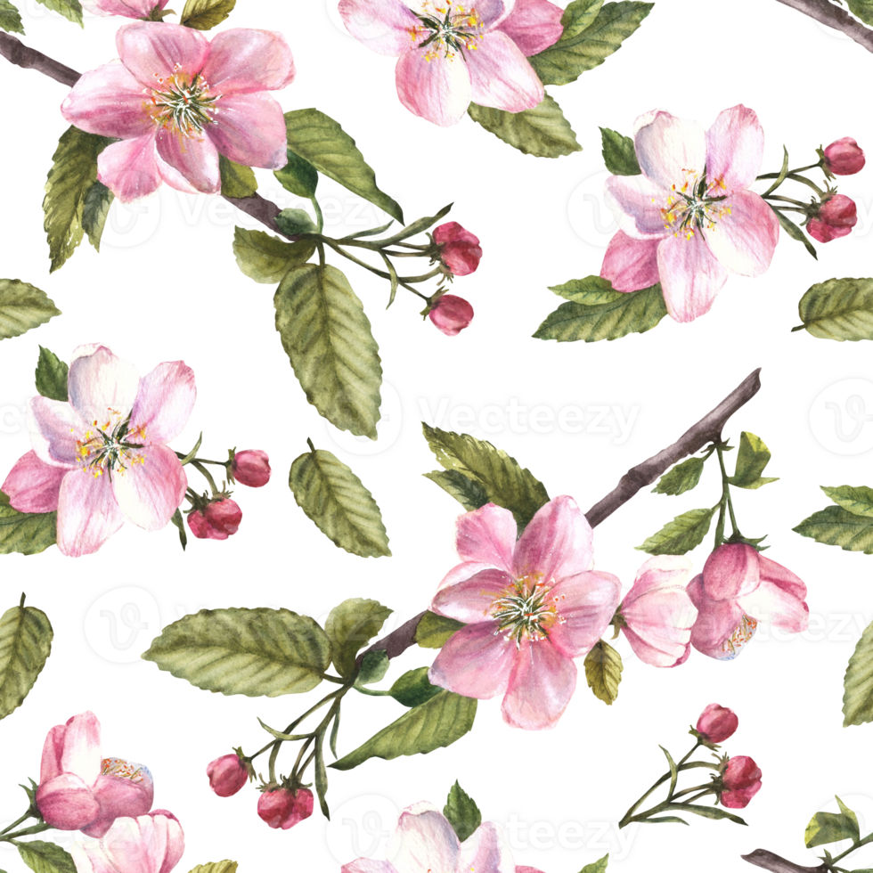 Branch of apple or other spring blossom tree seamless pattern, flowers and buds. Springtime blooming plant. Hand drawn botanical clipart for fabric, wrapping wallpaper print. background png