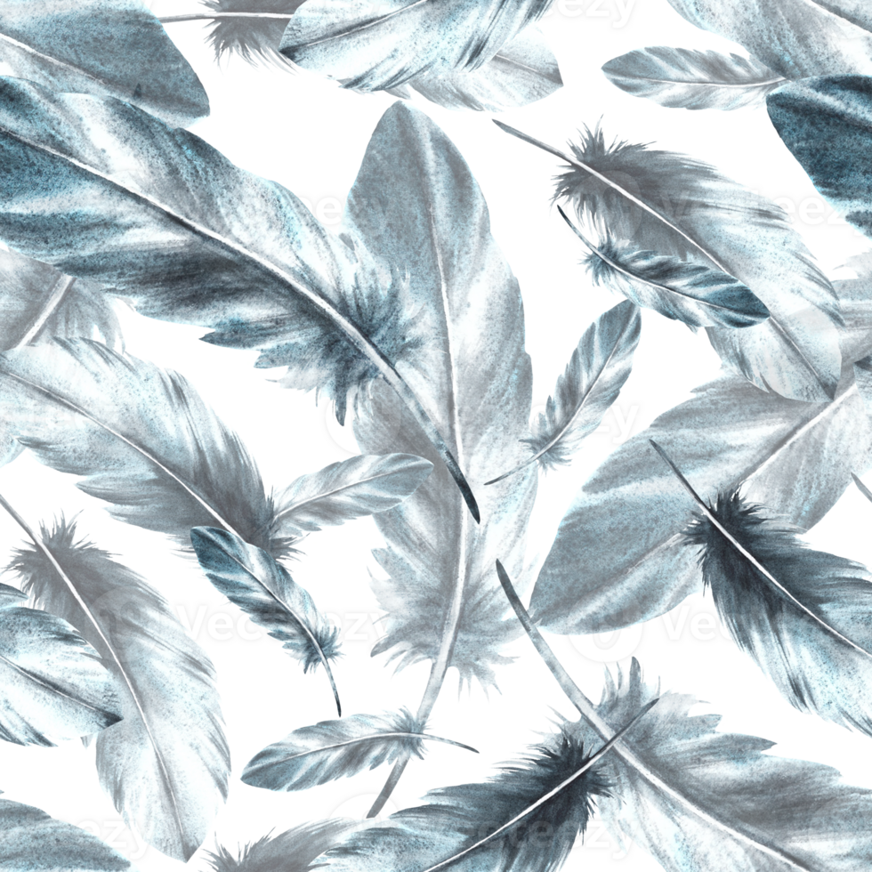 Watercolor seamless pattern with monochrome bird feathers grey black color with granulation of shades, ornaments. Quills wings drawing illustration. Wallpaper wrapping fabric  background png