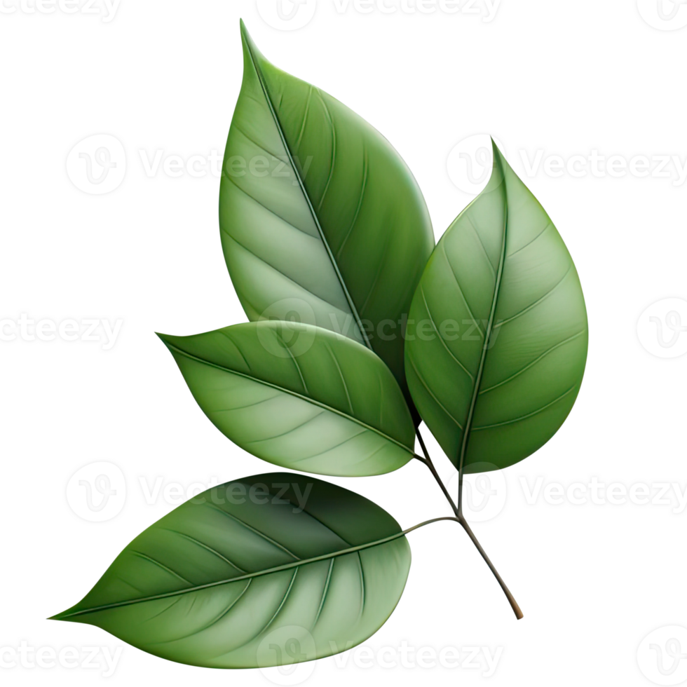 AI generated leaf green isolate PNG transparent