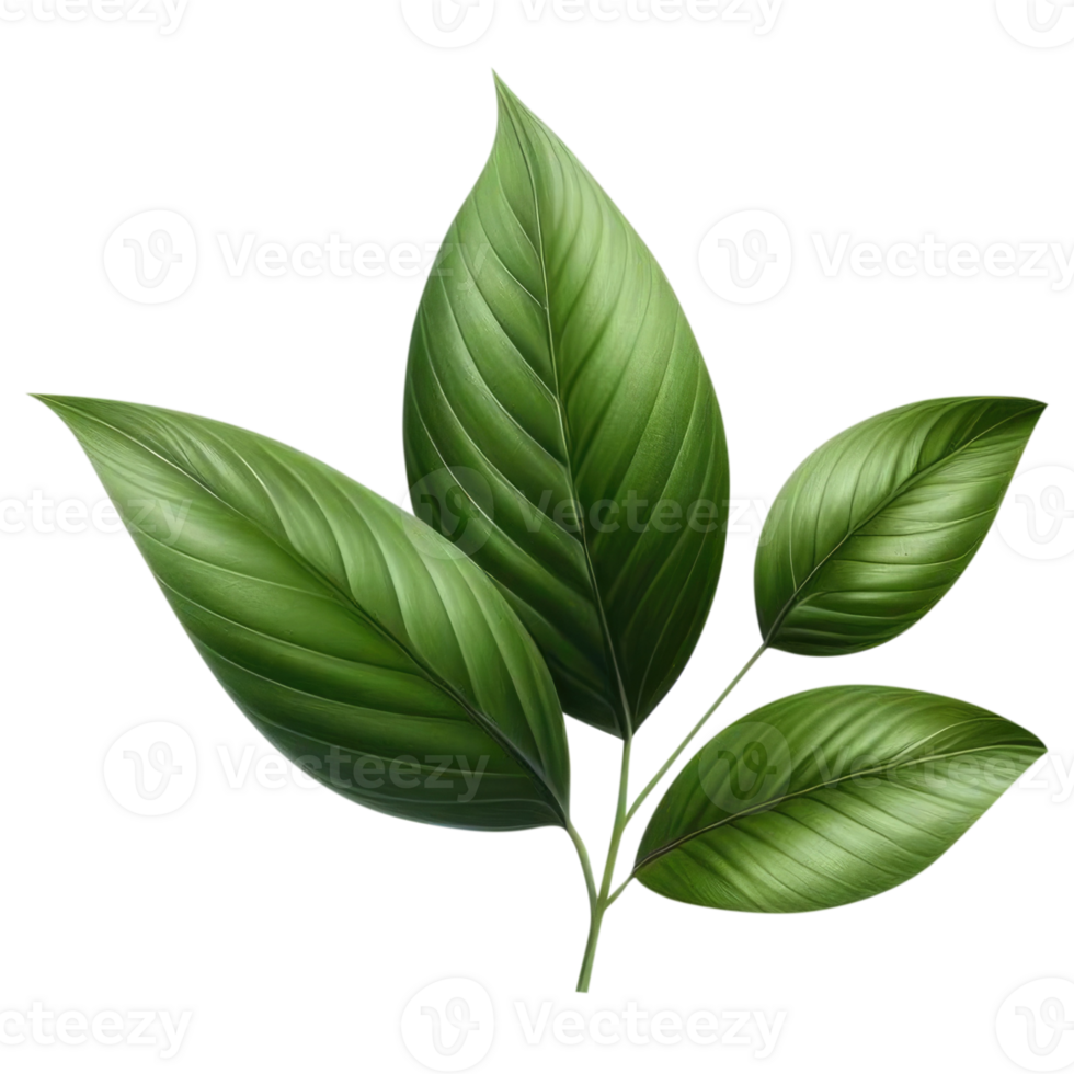 AI generated leaf green isolate PNG transparent