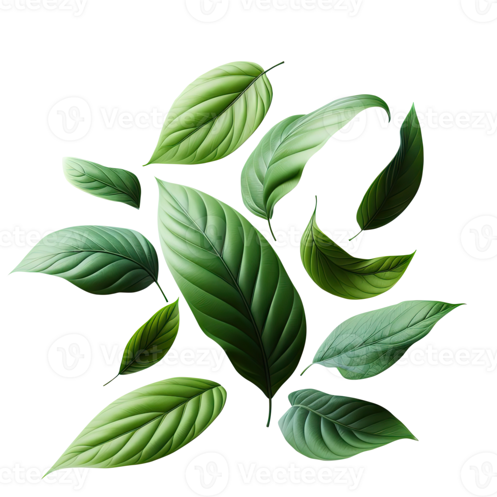 AI generated leaf green isolate PNG transparent