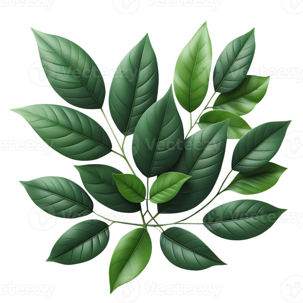 AI generated leaf green isolate PNG transparent