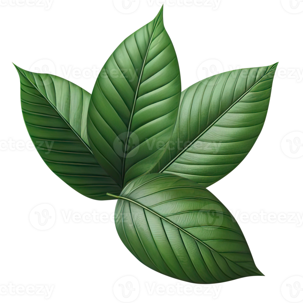 AI generated leaf green isolate PNG transparent