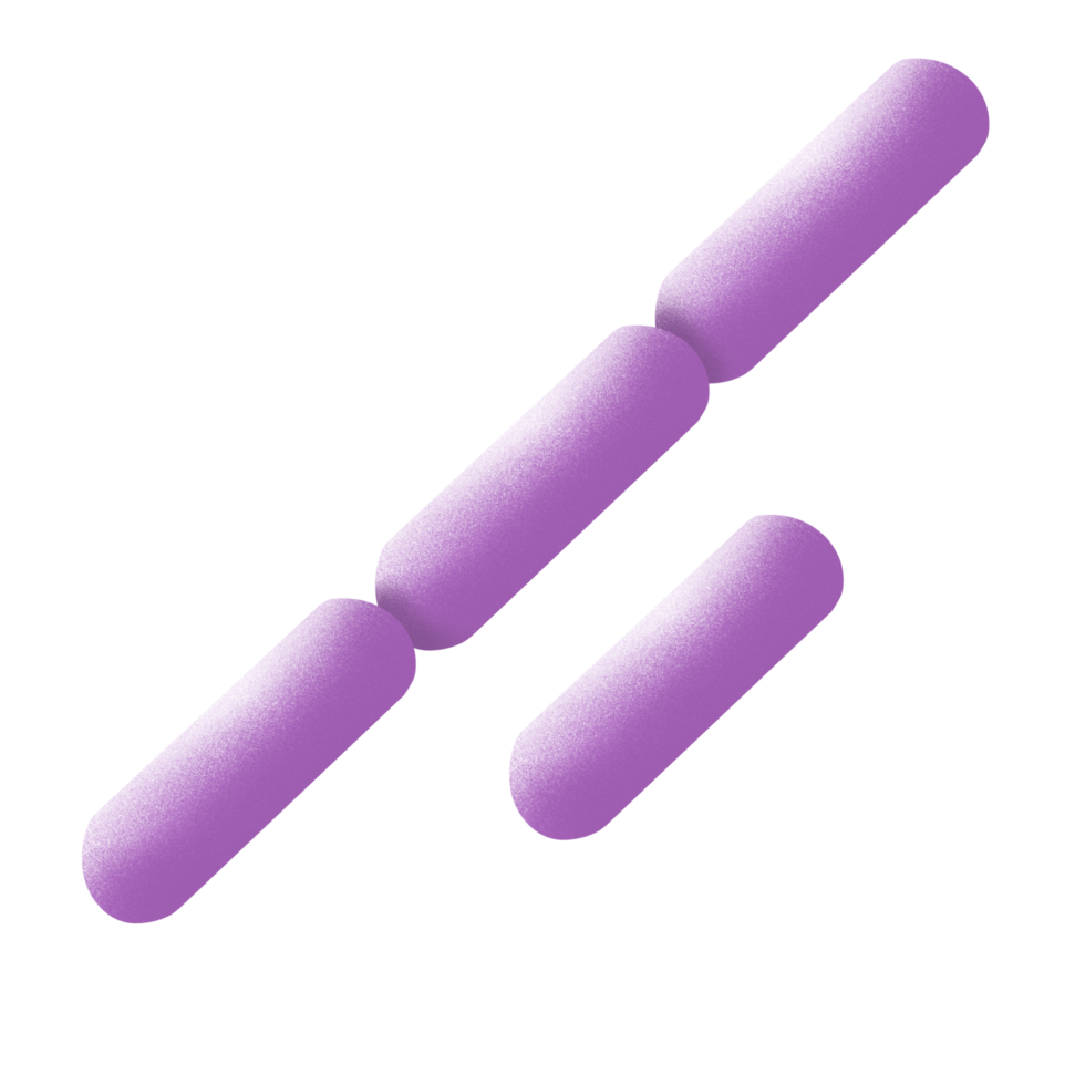 Bacillus anthracis structure illustration by hand drawn png