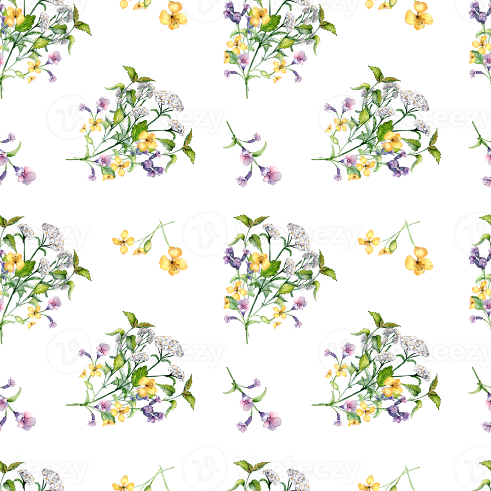 Seamless wild medicinal plant, herbs watercolor pattern. Floral pattern with millefolium, nettle, pulmonaria, celanine hand drawn. Design for label, package, textile. png