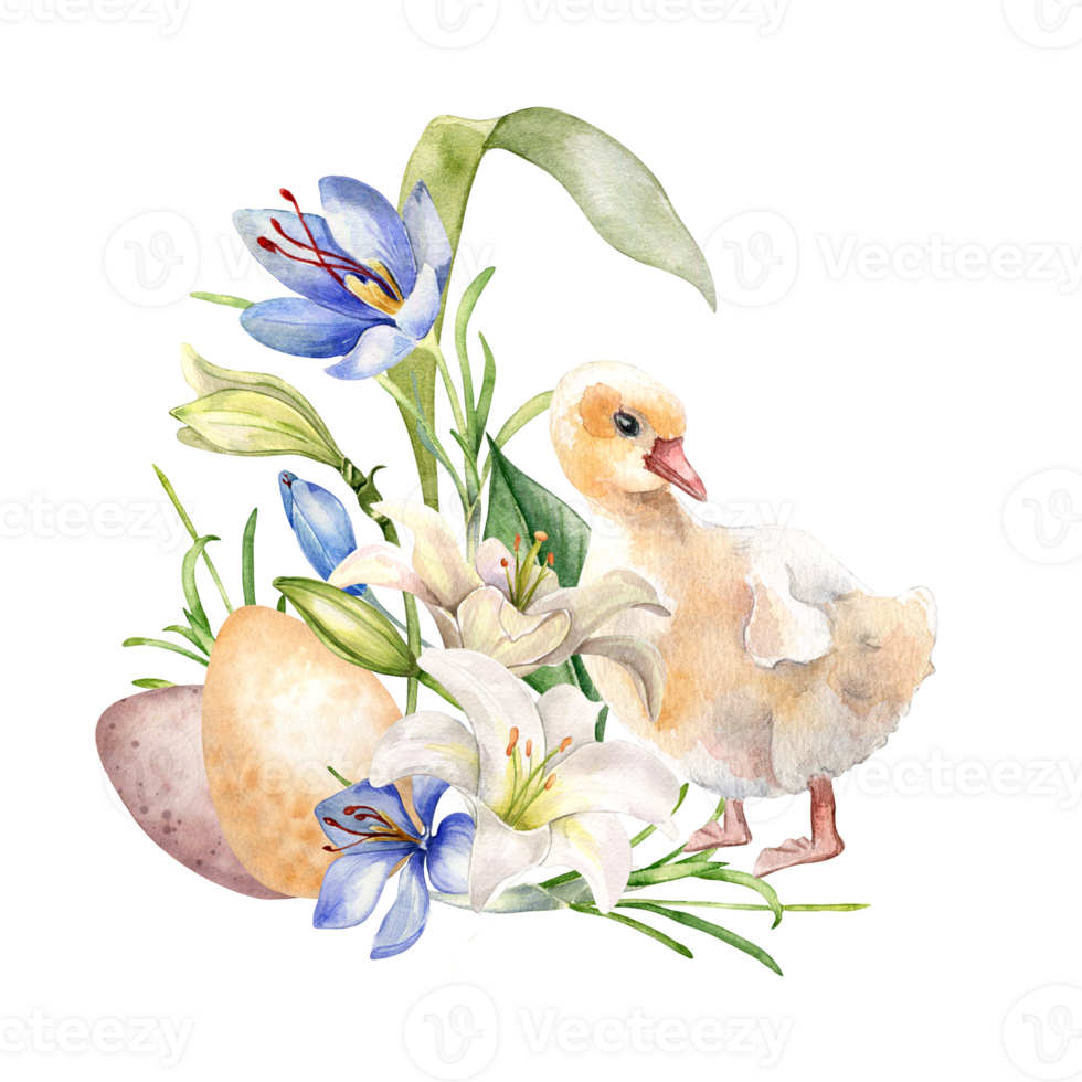 Pasen gansje, eieren en krokus. Pasen illustratie met voorjaar bloemen en vogel. waterverf eendje en delicaat planten hand- getrokken voor ontwerp groet kaart, decoratie. png