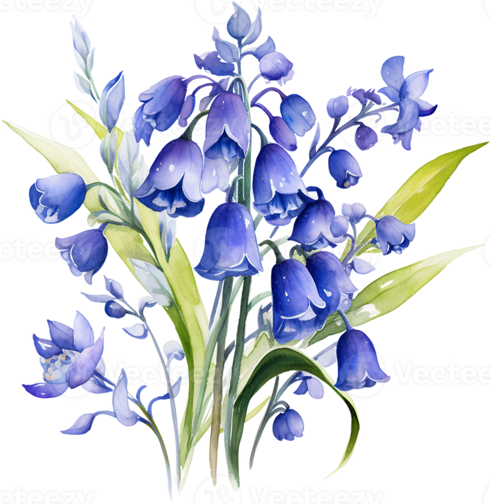 AI generated Delicate Watercolor Bluebells with Graceful Green Leaves png