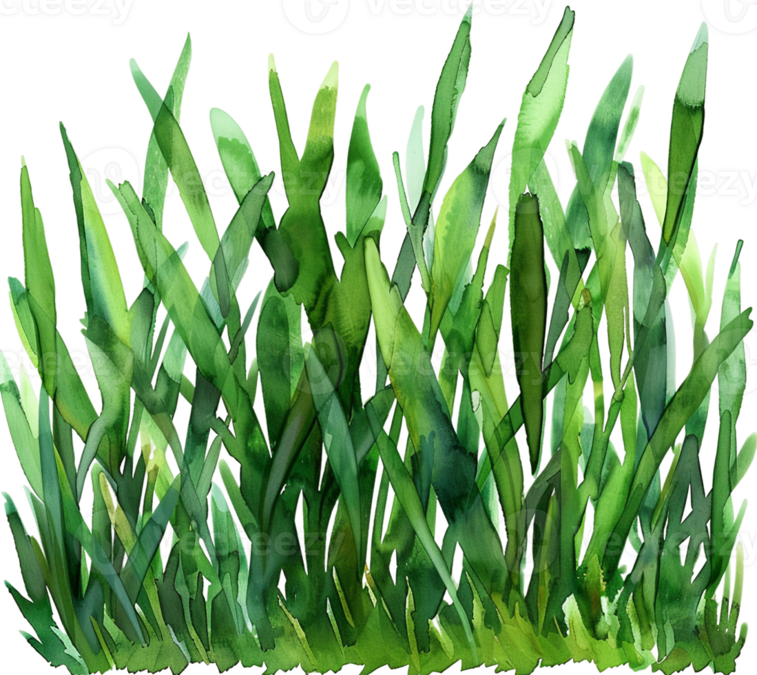 AI generated Dense Green Grass with Dew Drops png