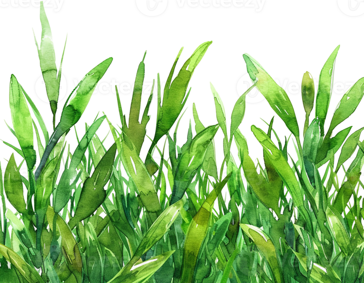 AI generated Young Green Grass Sprouting png