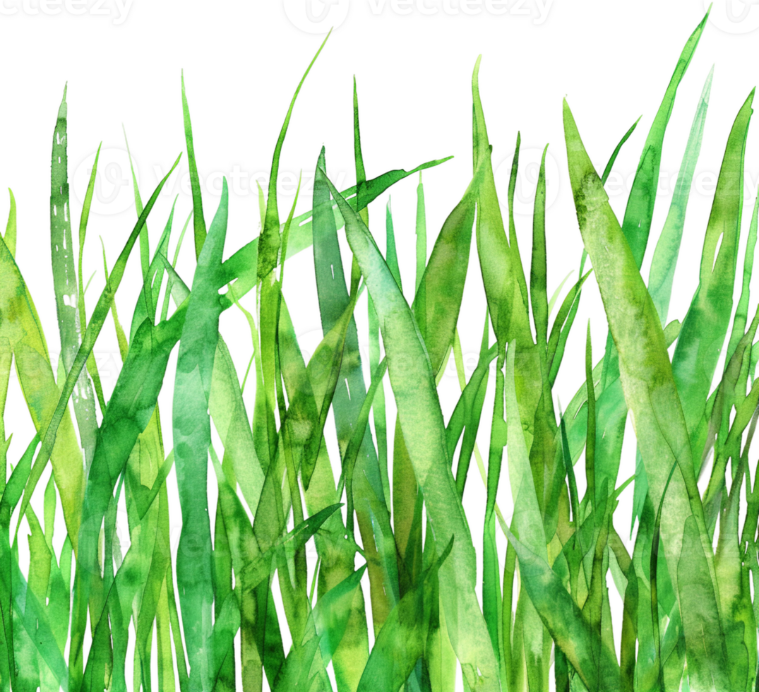 AI generated Lush Green Grass Illustration png