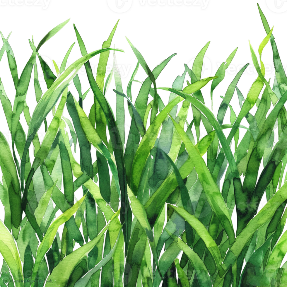 AI generated Verdant Grass Blades Close-Up png