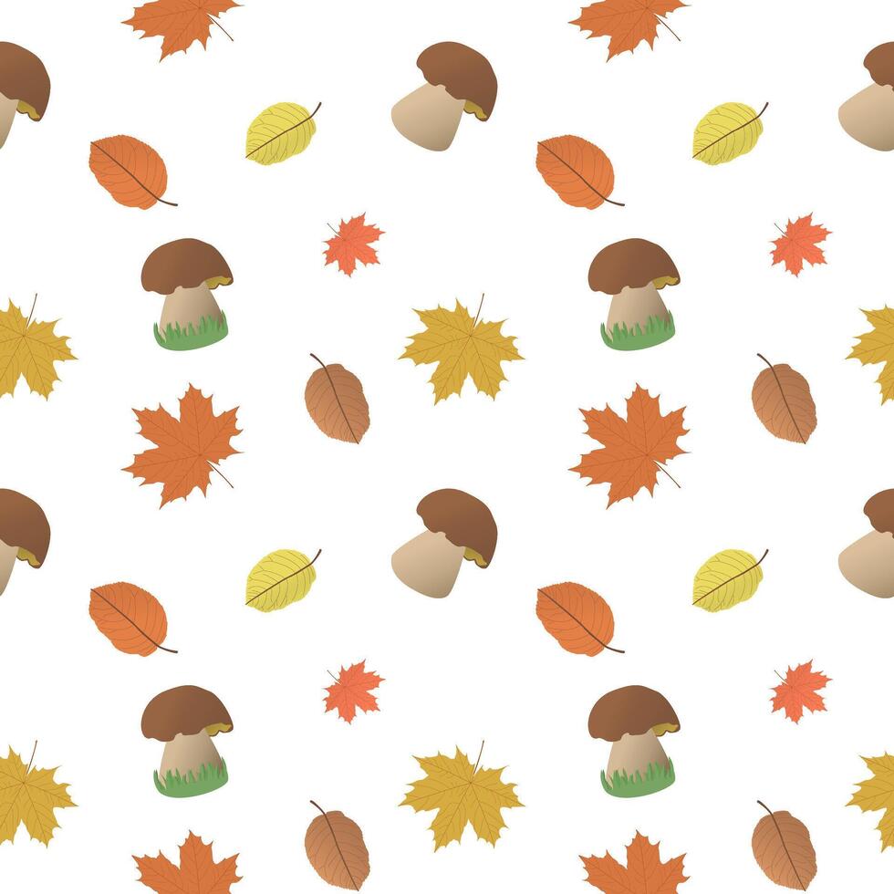 Maple and autumn leaves, mushrooms with and without grass are chaotically arranged on white background. Vector pattern