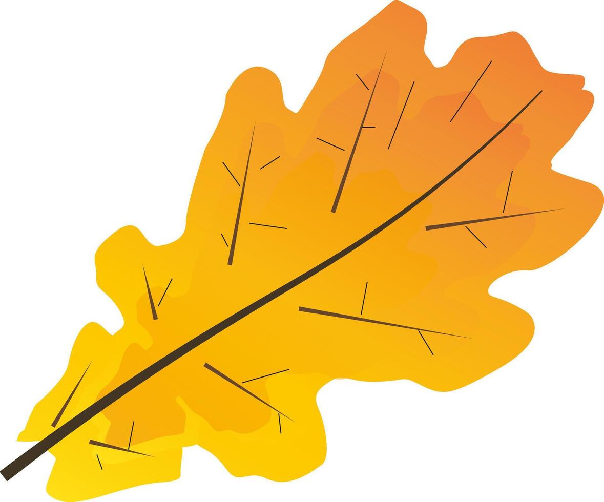 Oak leaf, fall vector