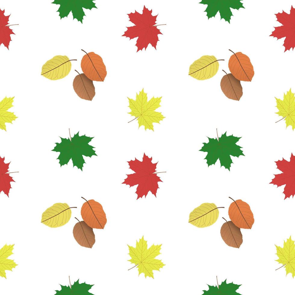 Maple and other fall leaves. Multicolored mottled large autumn leaves. Vector pattern