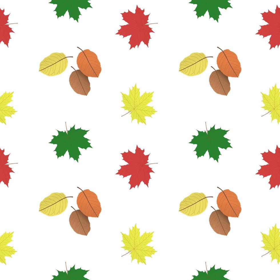 arce y otro otoño hojas. multicolor abigarrado grande otoño hojas. vector modelo