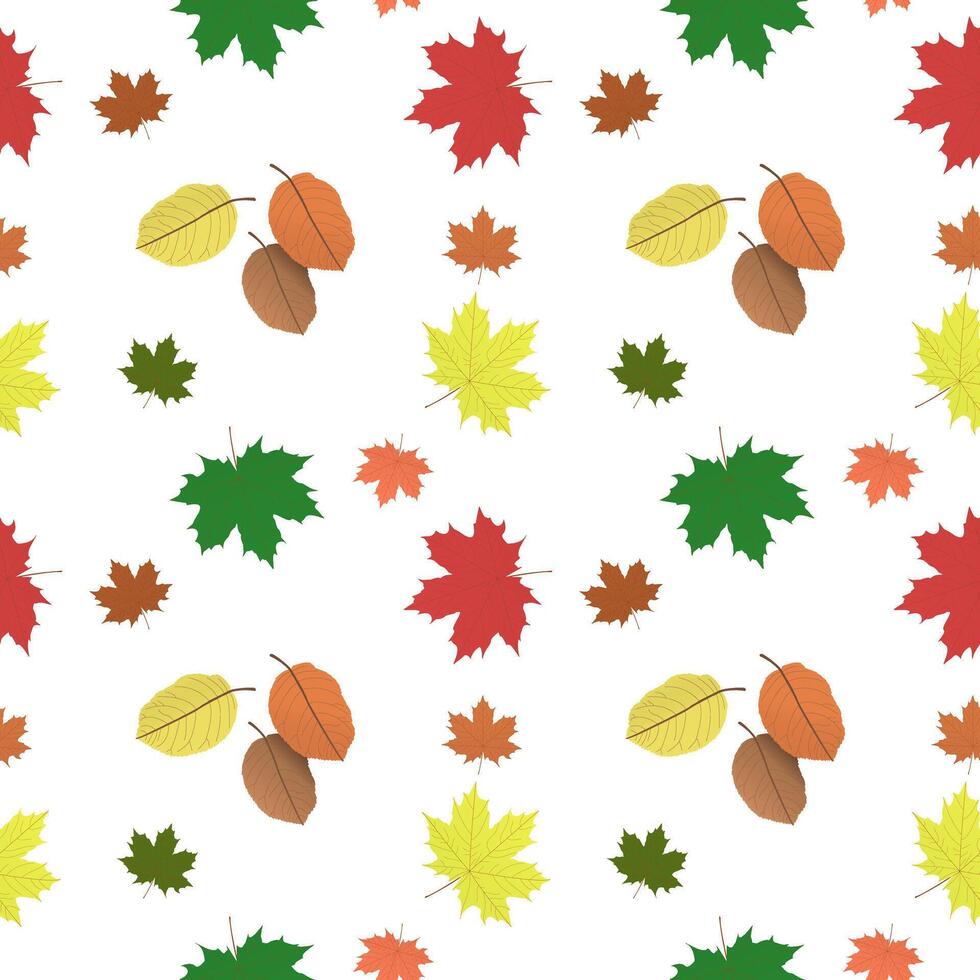 Lots of maple and other fall leaves. Multicolored mottled leaves autumn leaves. Vector pattern