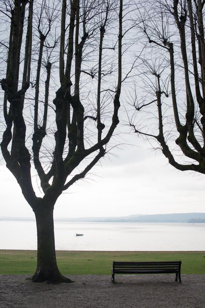 Empty park along the coastline in winter. Bench with no people photo