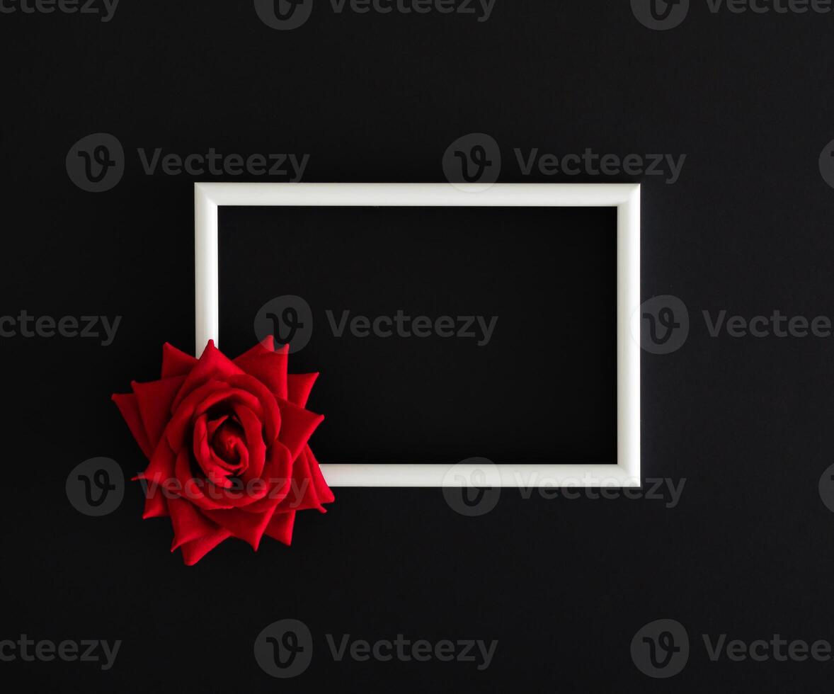 Red rose on black background with white frame copy space. Minimal concept and simplicity. Trendy spring and summer idea. Flower aesthetic background. Nature flat lay. photo