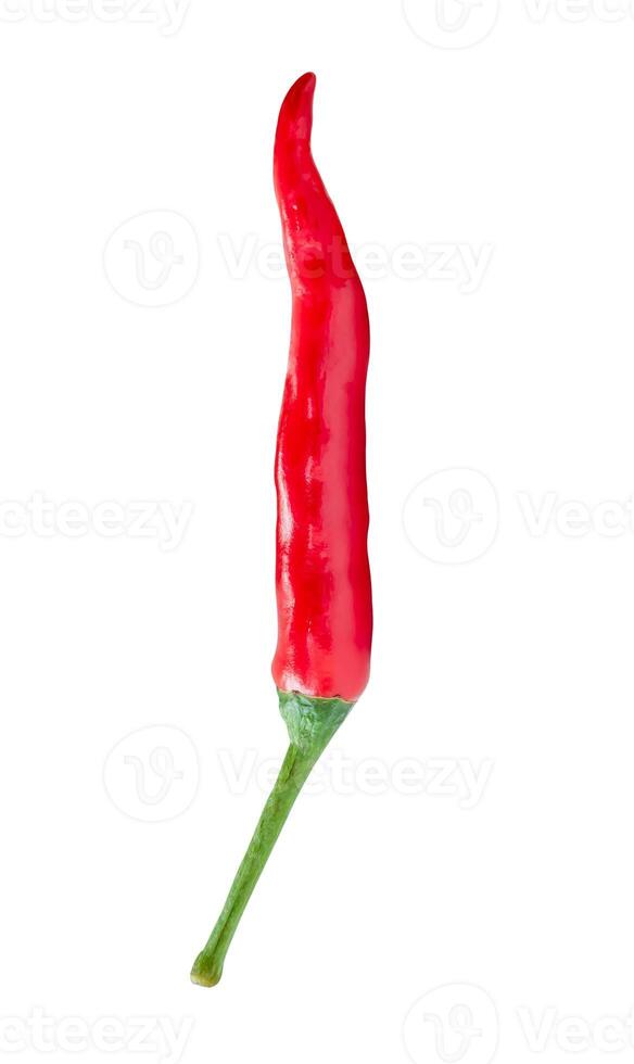 Front view of single red chili pepper isolated on white background with clipping path photo