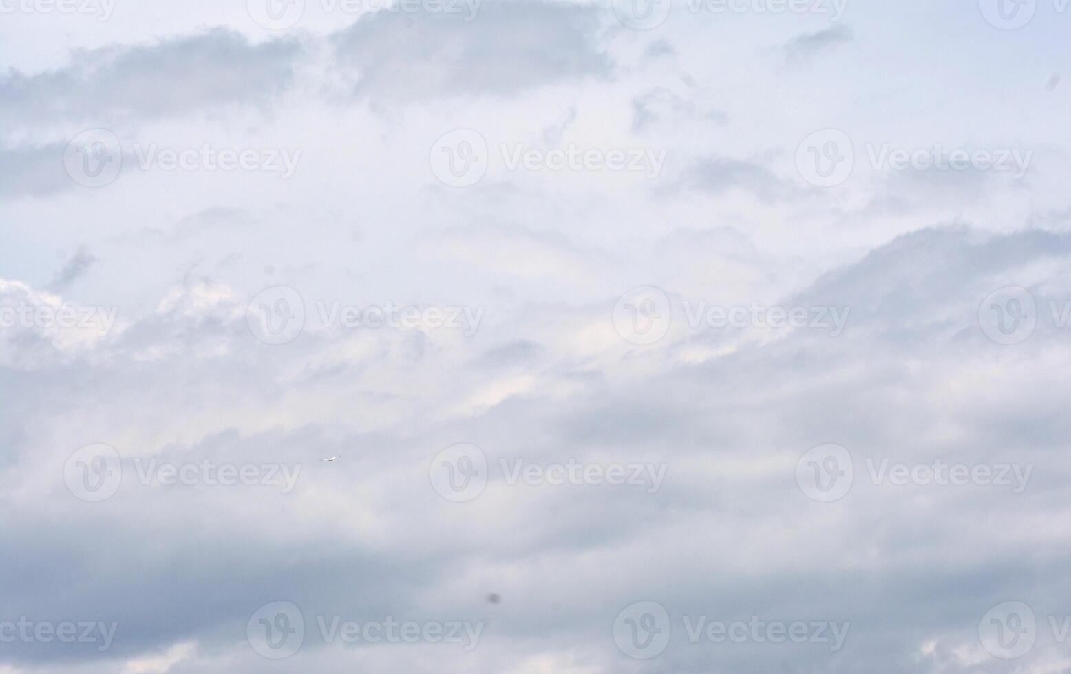 photo of white clouds during the day