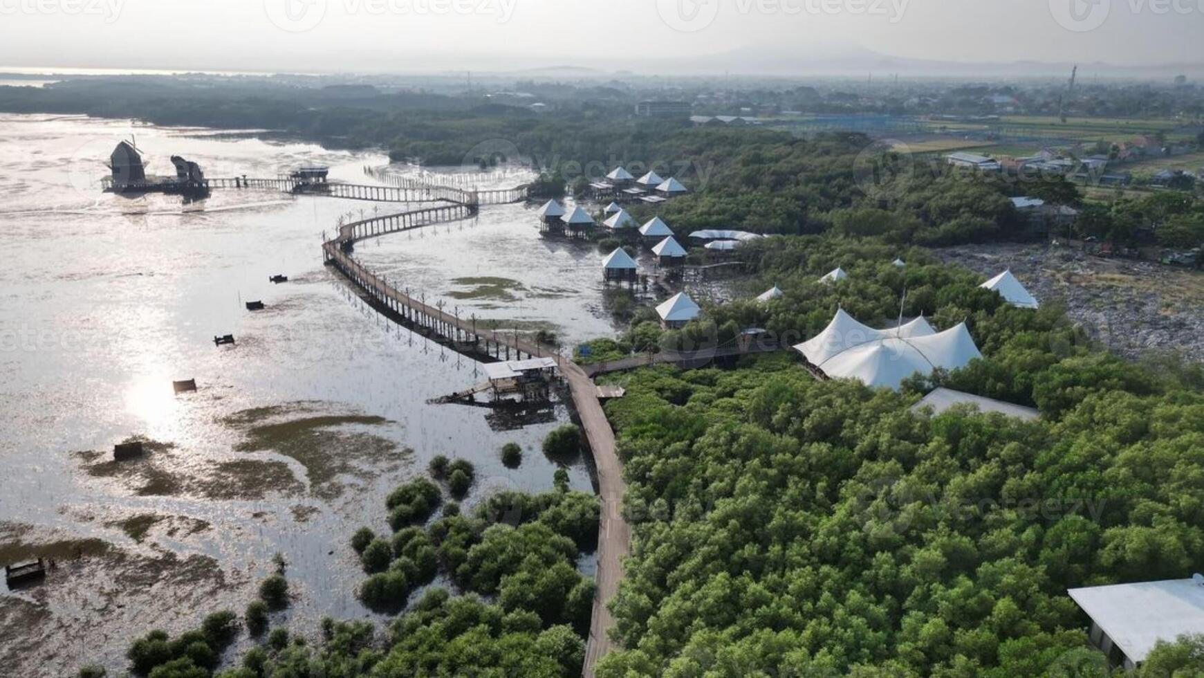 Beautiful mangrove forest photo