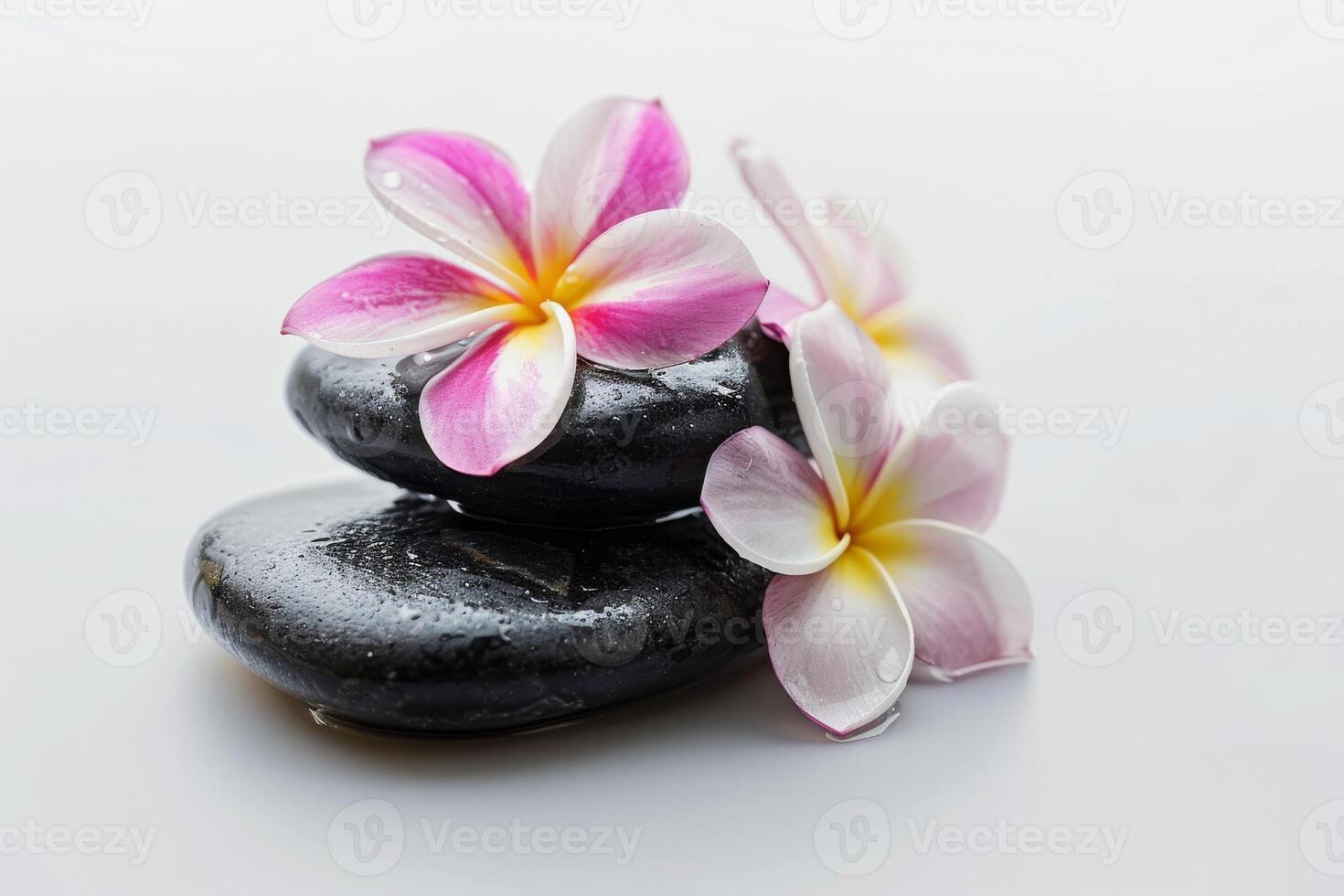 AI generated Spa Treatment Flower Isolated on White Background photo