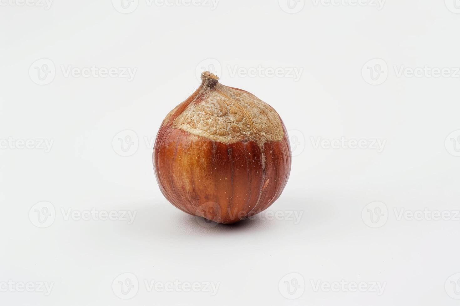 AI generated Fresh Hazelnut Isolated on White Background photo