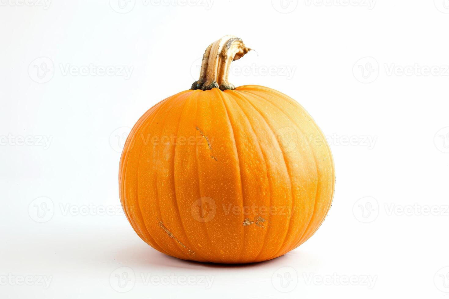 AI generated Organic Pumpkin Isolated on White Background photo