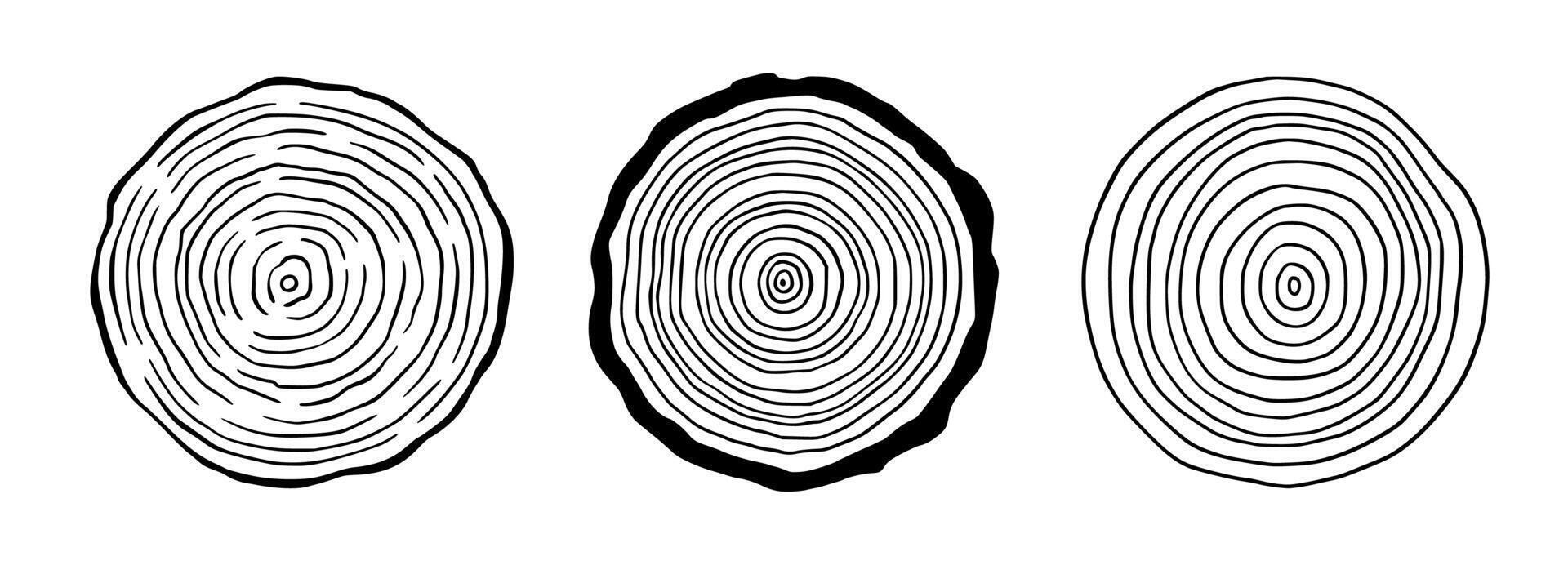 Tree ring wood circle set. Hand drawn tree ring pattern, line ripple circle wood texture. Wood organic slice line design. Vector