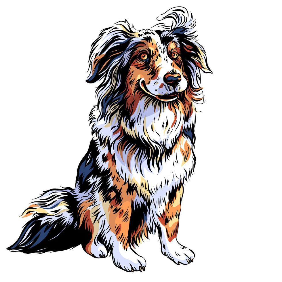 vector dog Red Australian Shepherd breed