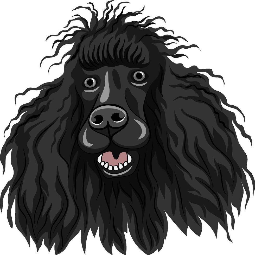 vector color sketch of dog black Poodle breed