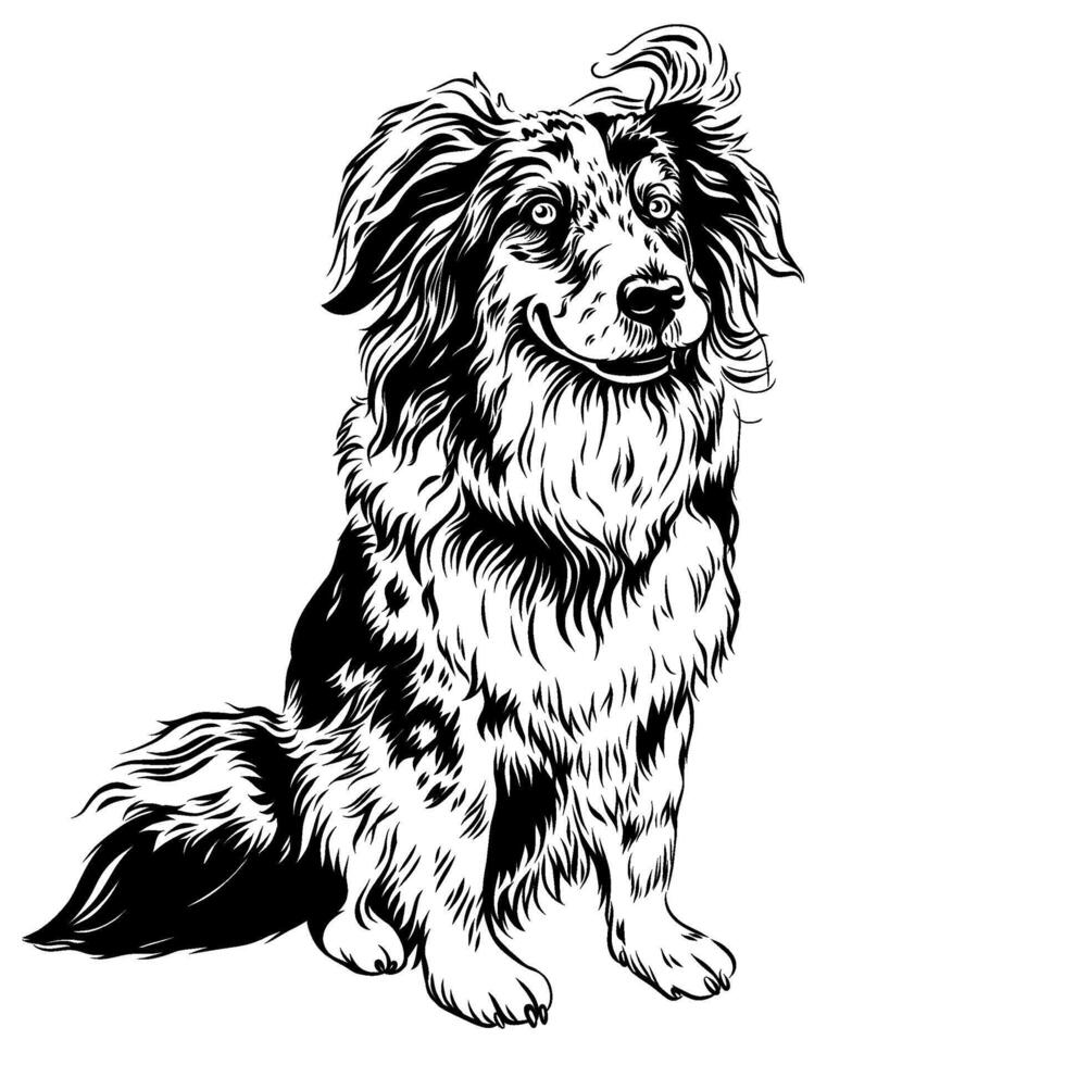 vector dog Red Australian Shepherd breed