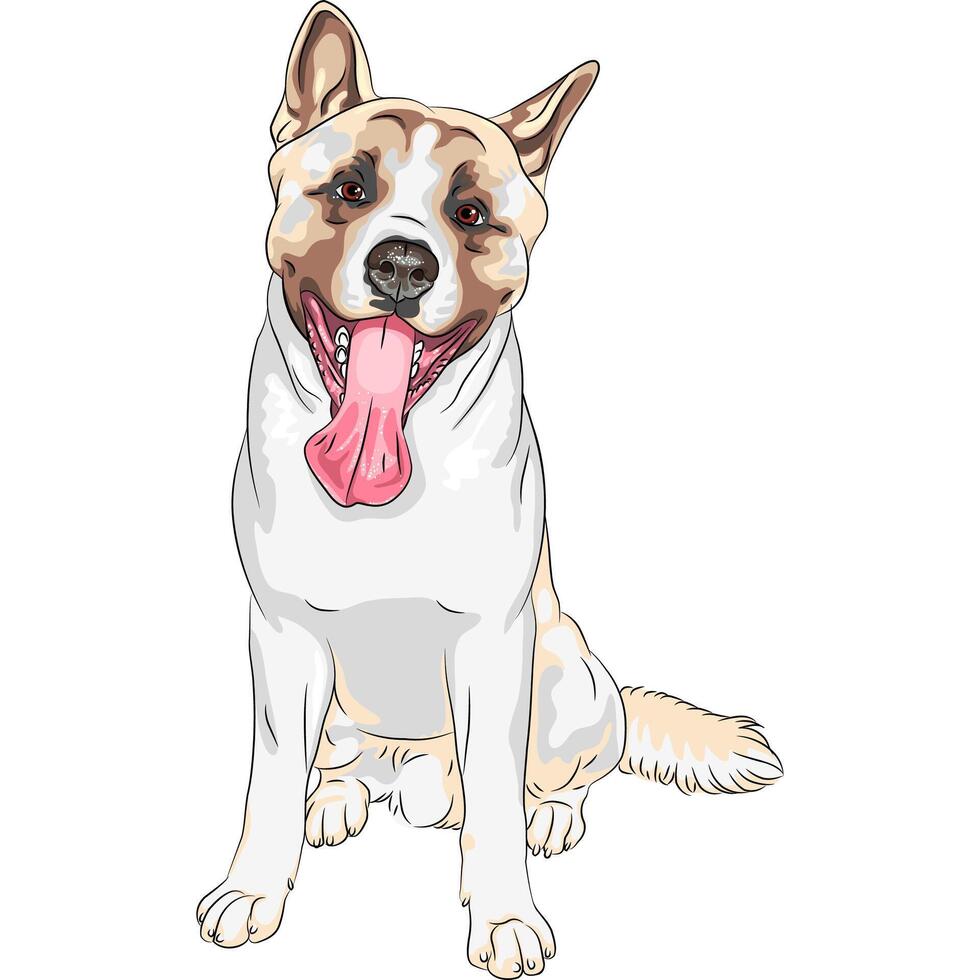 vector sketch dog Akita breed smiles