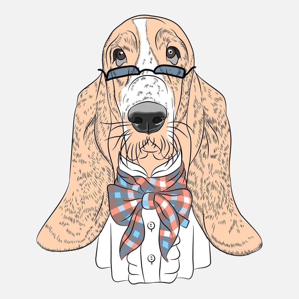 vector funny cartoon hipster dog Basset Hound
