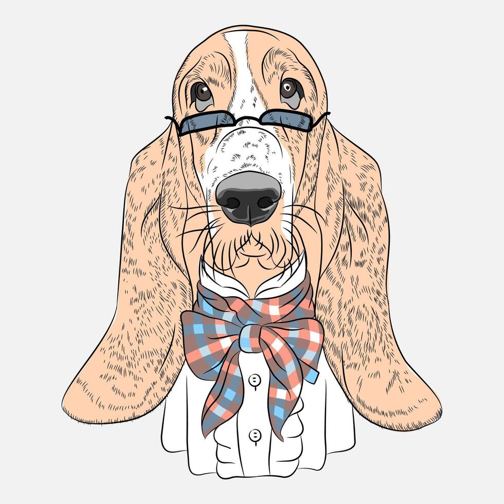 vector funny cartoon hipster dog Basset Hound