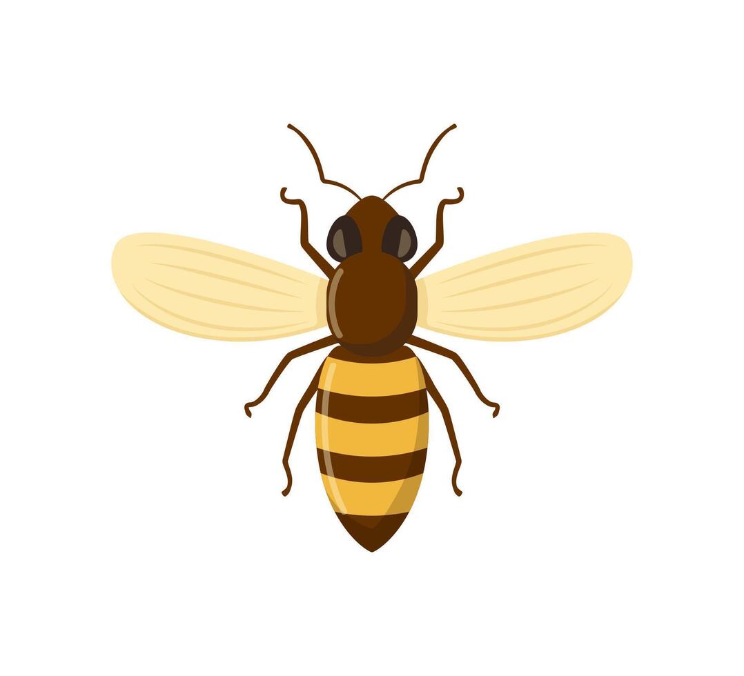 Bee icon isolated on white background. Honey flying bee. Insect. Vector illustration.