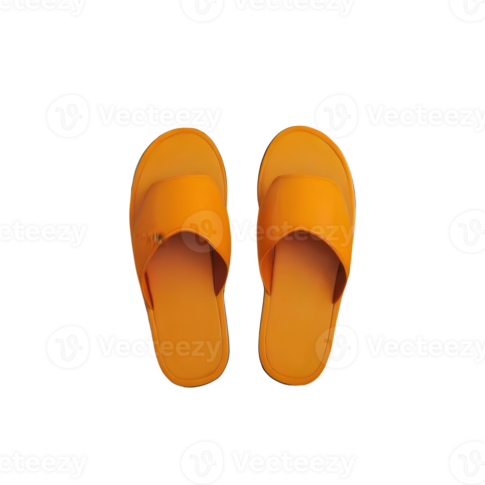 AI generated Slippers isolated on transparent background png