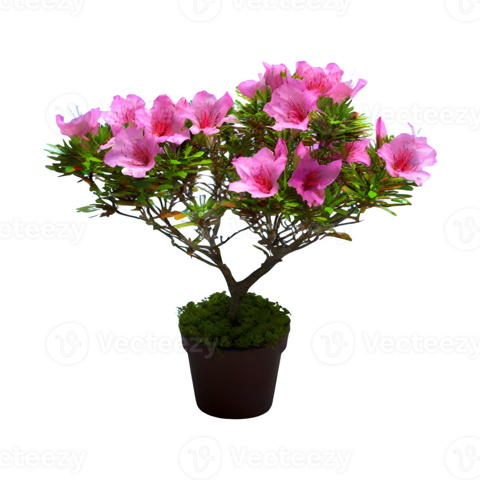 AI generated Azalea png isolated on transparent background