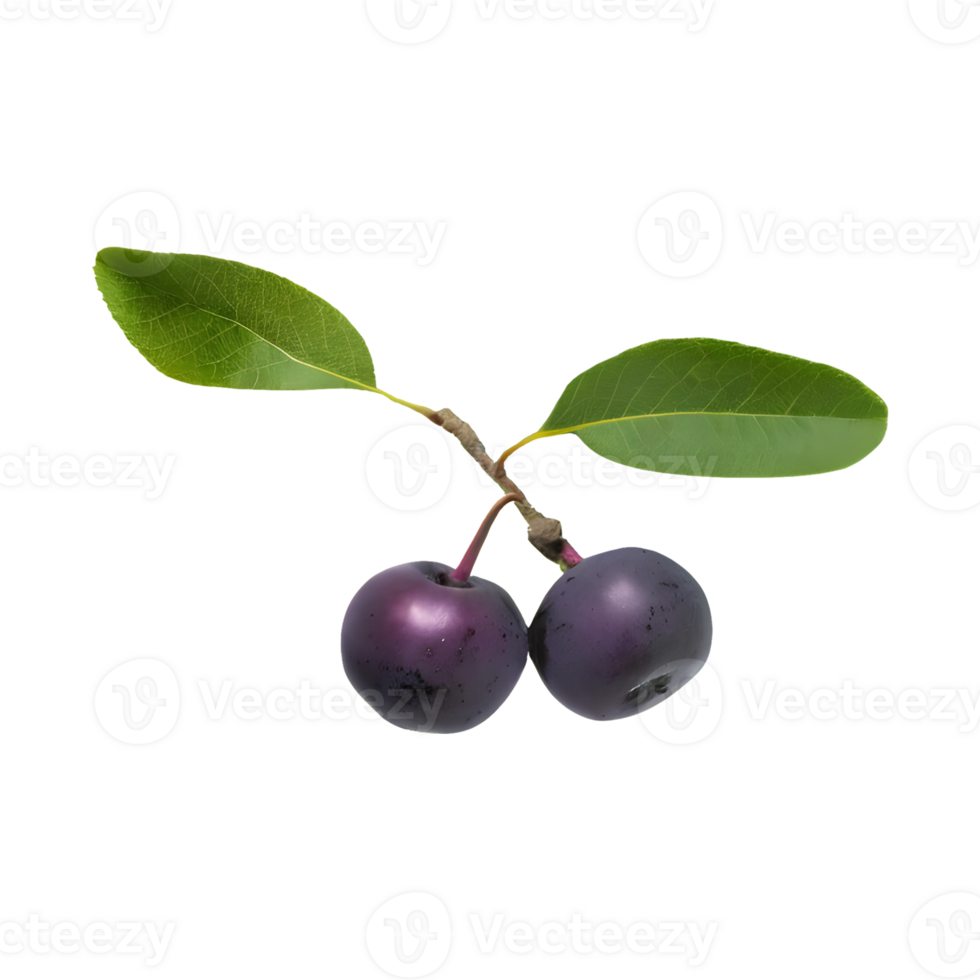 AI generated Serviceberry fruit isolated on transparent background png