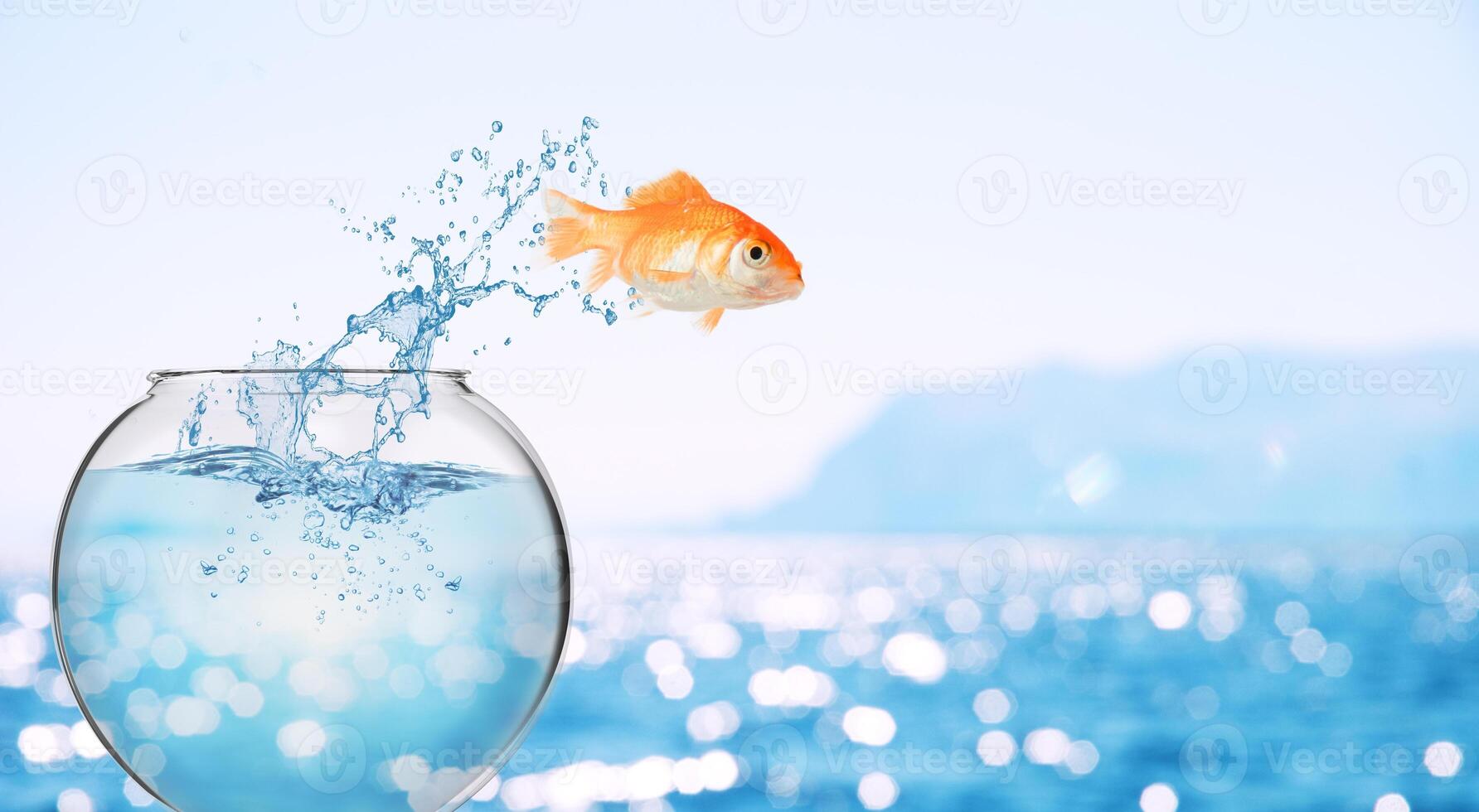 Goldfish leaps out of the aquarium to throw itself into the sea photo